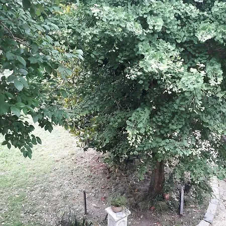 Apartamento Tenuta Crescentini-vallemura ,appartamenti Con Entrata Indipendente *