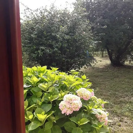 Apartamento Tenuta Crescentini-vallemura ,appartamenti Con Entrata Indipendente *