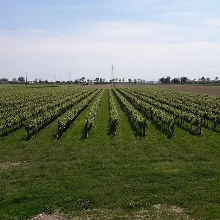 Tenuta Crescentini-vallemura ,appartamenti Con Entrata Indipendente San Donà di Piave